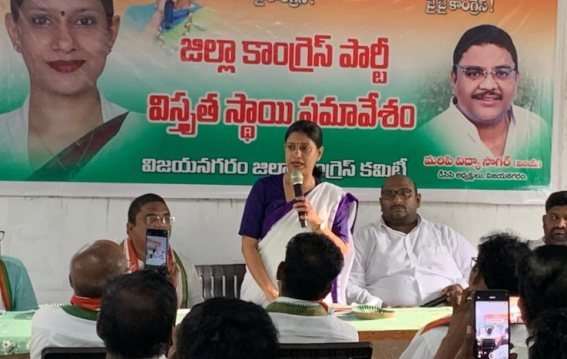 Congress Will Ensure Special Category Status for Andhra Pradesh